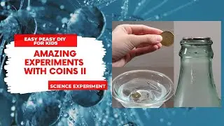 Amazing Experiments With Coins | Science experiment | Easy Peasy DIY For Kids