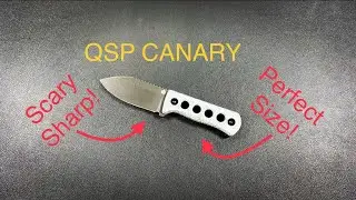 QSP Canary Neck Knife Review!