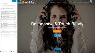Toggle ON/OFF Section - WordPress Theme I-AMAZE