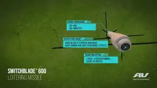 Switchblade 600 Loitering Munition System
