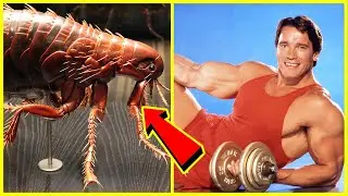 15 cosas que NO SABIAS hace 4 minutos