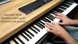 Revolutionary Strumming & Bending in Kontakt Guitar Samples. Pettinhouse’s Guitar Stratocaster Magic