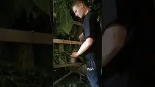 19 июля 2024 г.