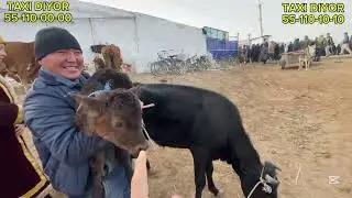 2-NOVEMBER/2025/THURSDAY LIVESTOCK MARKET/LIVESTY MARKET 2025/NOT BREATHING LIVESTOCK MARKET