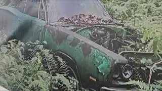 Mopar Nationals Superbee found in the woods