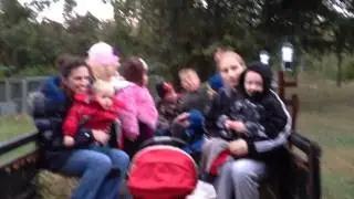 Ready to go on a hayride. Jessie is a little overly excited