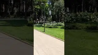 Жара в Воронеже!