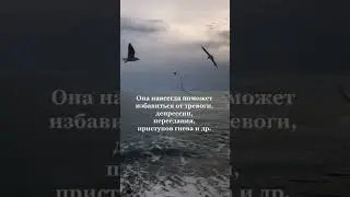 Психология  Депрессия  Книги