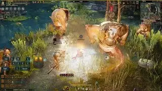 Black Desert | 검은사막 Lahn (란) Gameplay Skill Point Farming