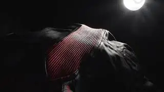 Nexus - Exceptional Comfort