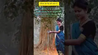 पितरों को खुश करने के सात रामबाण उपाय पितृ दोष होगा दूर और मिलेगा पित्रों का आशीर्वाद #पितृदोष