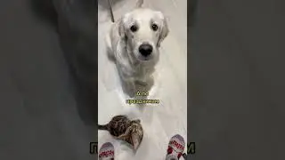 А так хотелось 😂 