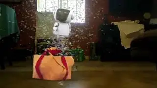 FxGuru Video