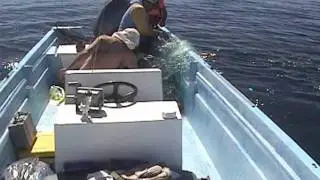 Saving Valentina.6.8.11.h264.mov