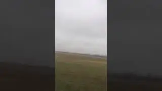47news: Раненый лебедь вернулся в Сугорово
