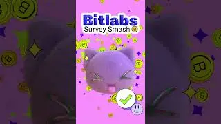 Survey Smash is LIVE!  #bitcoin #surveyearnings