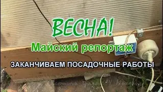 ВЕСНА.  Майский  репортаж 27 мая. Заканчиваем посадочные работы.