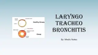 Laryngotracheobronchitis - causes, signs and symptoms, investigation, management