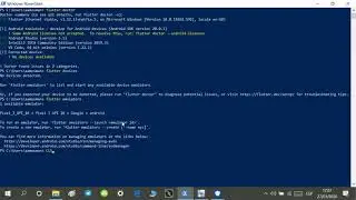 Flutter-1.14. Running flutter doctor from windows PowerShell