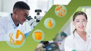 Syngenta Crop Protection R&D - Introducing our 3 Rs