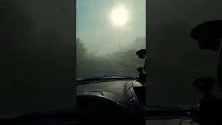 туман 🌫️ #туман