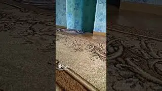 Кто это там😁