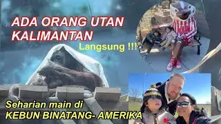 PADA TAKJUB,ADA ORANG UTAN DI KEBUN BINATANG Di AMERİKA 🇺🇸