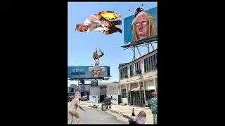 flying sneeds