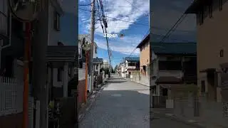 The day average in japan #shorts #東出昌大 #再婚相手 #カージナルス #パドレス #タイピング #人食いバクテリア #溶連菌 #石田ひかり #スコルジャ #タイマー