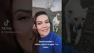 16 июня 2024 г.