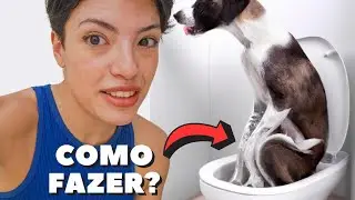 Fiz um Banheiro CASEIRO para cachorro que escorre o XIXI direto pro ralo