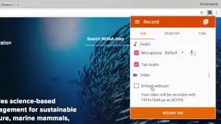 Record a Browser Tab