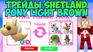 ТРЕЙДЫ НА SHETLAND PONY LIGHT BROWN В ADOPT ME ЧТО ДАЮТ ЗА ШОТЛАНДСКОГО ПОНИ В АДОПТ МИ РОБЛОКС