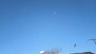 Бакинцы посадка! 🕊🕊🕊