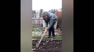 5 ноября 2022 г.