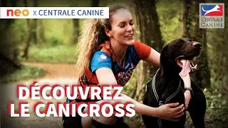 LE CANICROSS - Neo x Centrale Canine