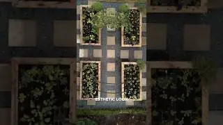 Inspiring vegetable garden idea  📌 Save it