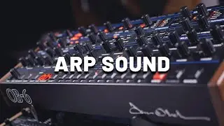 Arp sound with Sequential OB-6 (no talking)