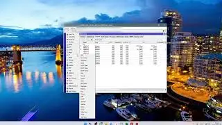 Как настроить статический IP-адрес для устройства на Mikrotik
