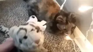 Another double!