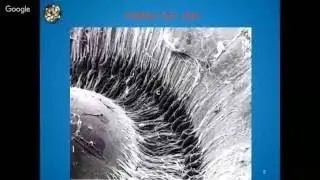Iridologia Constitucionalista. Videoconferencia gratuita este Lunes 21 Hrs. Hora de la Ciu
