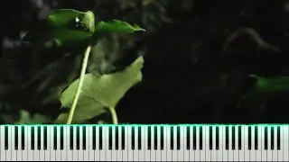 Ludovico Einaudi - Adieux (piano tutorial)