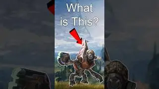 What is on a Grunt’s Back? - Halo Lore
