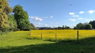 Prestbury Slow TV