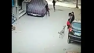 شاهد السلعوه في شوارع الصعيد