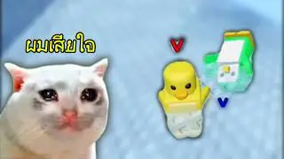 เมื่อแพนกวินเกรียดกัน I Knockout