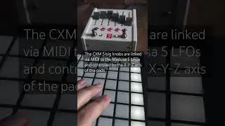 Sunday ups and downs (Polyend Medusa and Chase Bliss CXM 1978)