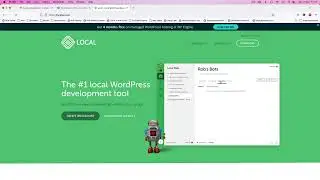 Build a WordPress API Domain Search Plugin from scratch p-1