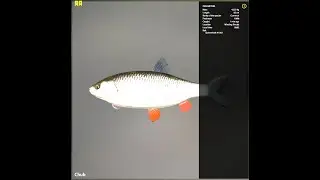 Russian Fishing 4