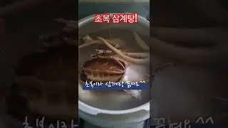 초복 삼계탕 드세요 ! #초복#삼계탕#원기회복 #감기야_물럿거라